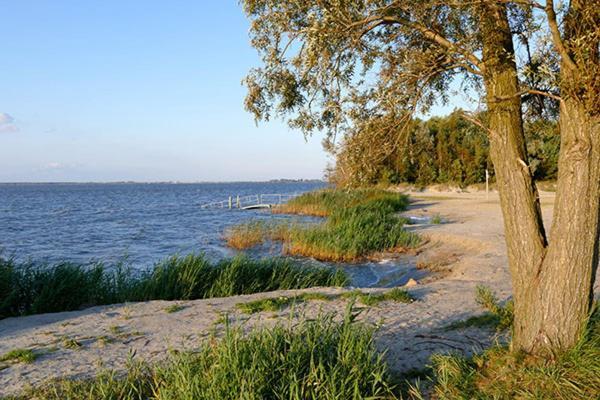Huus Am Darss Villa Fuhlendorf  Bagian luar foto